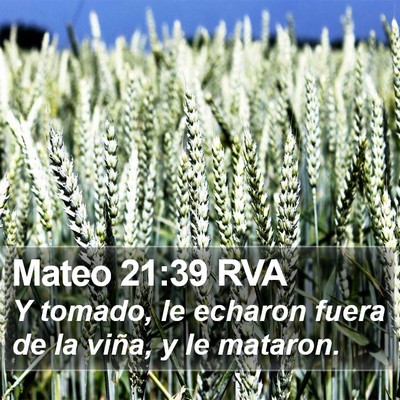 Mateo 21:39 RVA Bible Verse Image