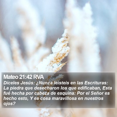 Mateo 21:42 RVA Bible Verse Image