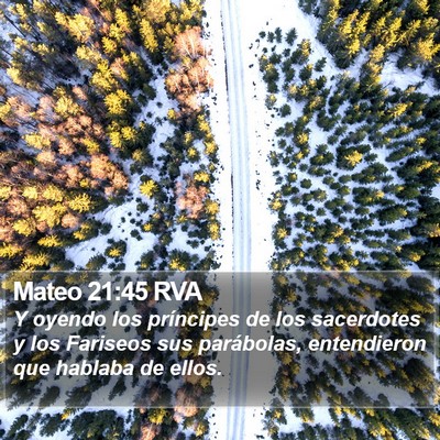 Mateo 21:45 RVA Bible Verse Image