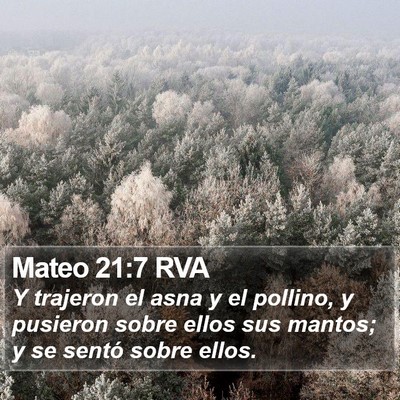 Mateo 21:7 RVA Bible Verse Image