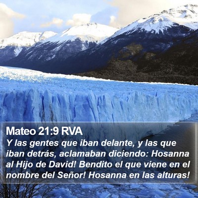 Mateo 21:9 RVA Bible Verse Image