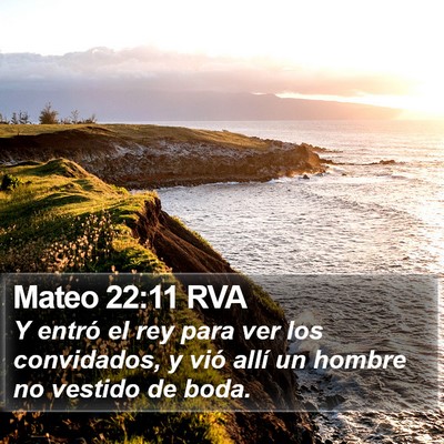 Mateo 22:11 RVA Bible Verse Image