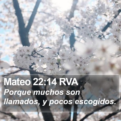 Mateo 22:14 RVA Bible Verse Image