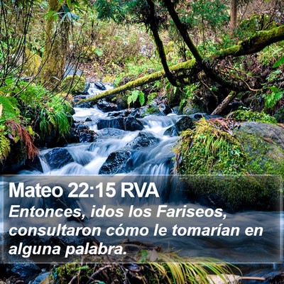 Mateo 22:15 RVA Bible Verse Image