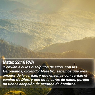 Mateo 22:16 RVA Bible Verse Image
