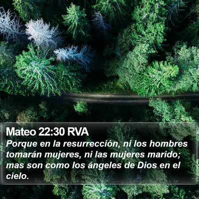 Mateo 22:30 RVA Bible Verse Image