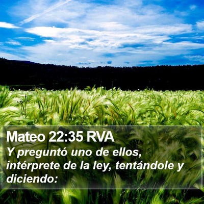 Mateo 22:35 RVA Bible Verse Image