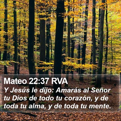 Mateo 22:37 RVA Bible Verse Image