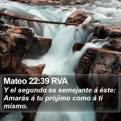 Mateo 22:39 RVA Bible Verse Image