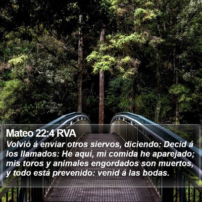 Mateo 22:4 RVA Bible Verse Image