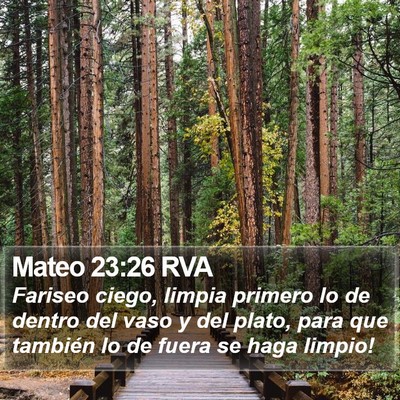 Mateo 23:26 RVA Bible Verse Image