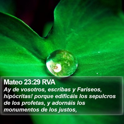 Mateo 23:29 RVA Bible Verse Image