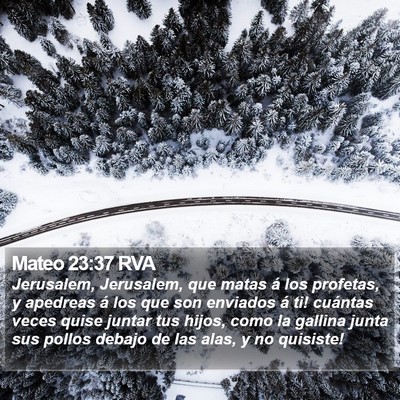Mateo 23:37 RVA Bible Verse Image