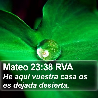 Mateo 23:38 RVA Bible Verse Image