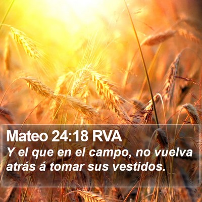Mateo 24:18 RVA Bible Verse Image