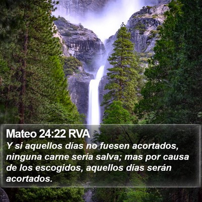 Mateo 24:22 RVA Bible Verse Image