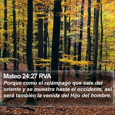 Mateo 24:27 RVA Bible Verse Image