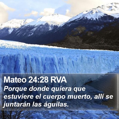 Mateo 24:28 RVA Bible Verse Image
