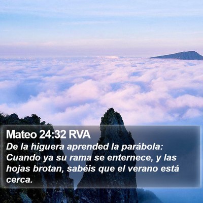 Mateo 24:32 RVA Bible Verse Image