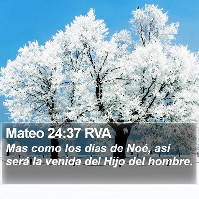 Mateo 24:37 RVA Bible Verse Image