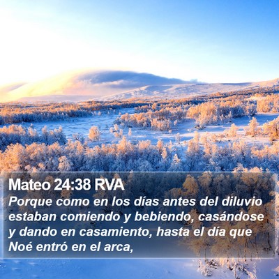 Mateo 24:38 RVA Bible Verse Image