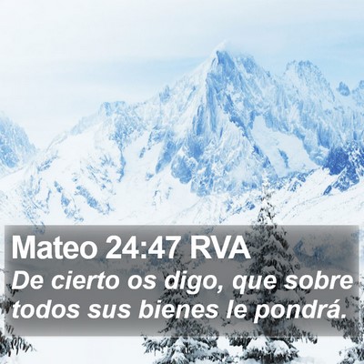 Mateo 24:47 RVA Bible Verse Image