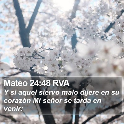Mateo 24:48 RVA Bible Verse Image