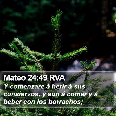 Mateo 24:49 RVA Bible Verse Image