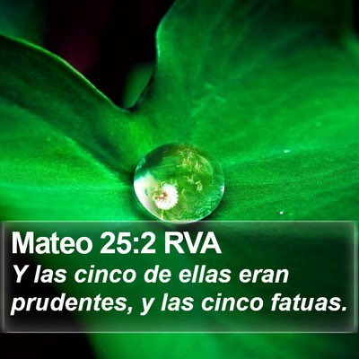 Mateo 25:2 RVA Bible Verse Image