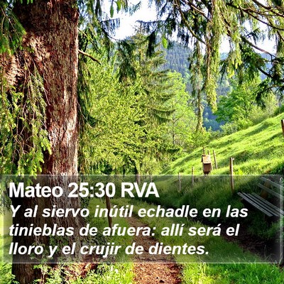Mateo 25:30 RVA Bible Verse Image