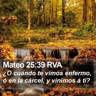 Mateo 25:39 RVA Bible Verse Image