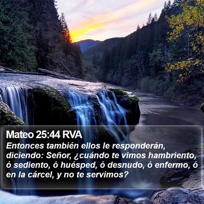 Mateo 25:44 RVA Bible Verse Image