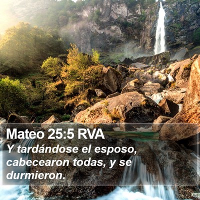 Mateo 25:5 RVA Bible Verse Image