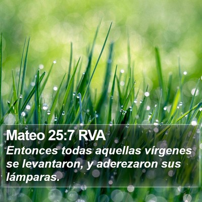 Mateo 25:7 RVA Bible Verse Image