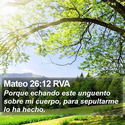 Mateo 26:12 RVA Bible Verse Image