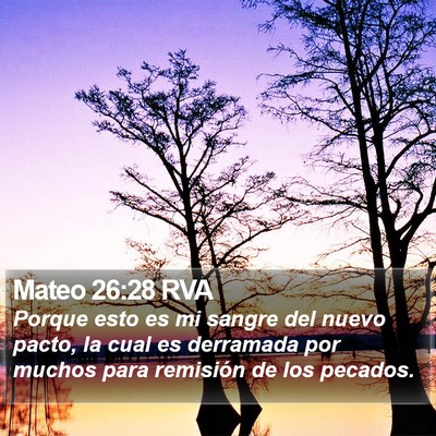 Mateo 26:28 RVA Bible Verse Image