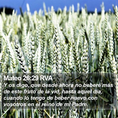 Mateo 26:29 RVA Bible Verse Image