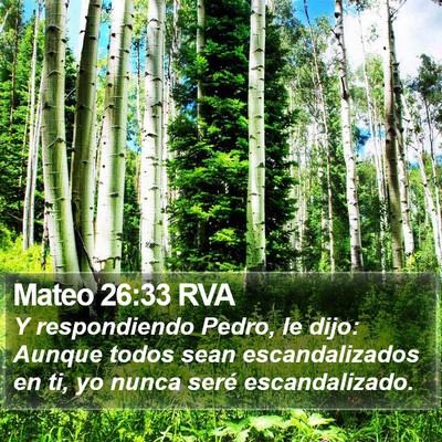 Mateo 26:33 RVA Bible Verse Image