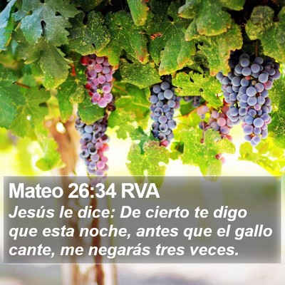 Mateo 26:34 RVA Bible Verse Image