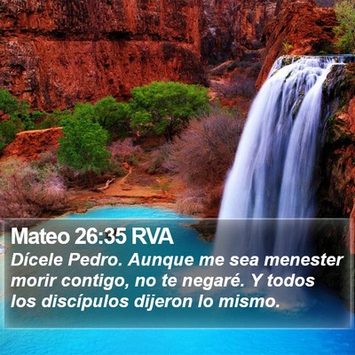 Mateo 26:35 RVA Bible Verse Image