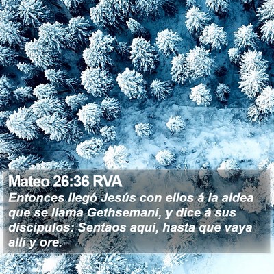 Mateo 26:36 RVA Bible Verse Image