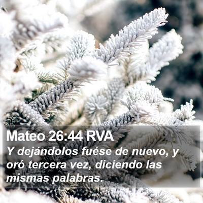 Mateo 26:44 RVA Bible Verse Image