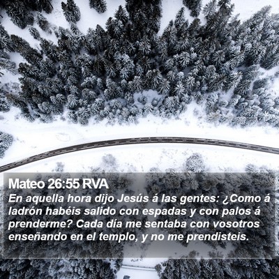 Mateo 26:55 RVA Bible Verse Image