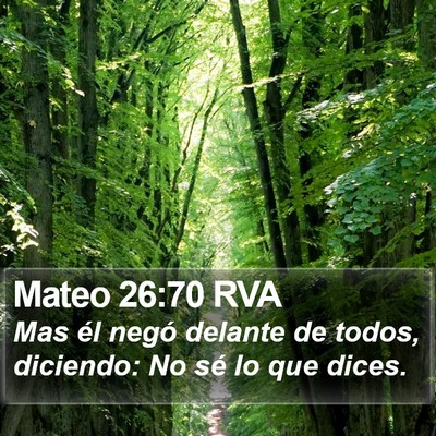 Mateo 26:70 RVA Bible Verse Image