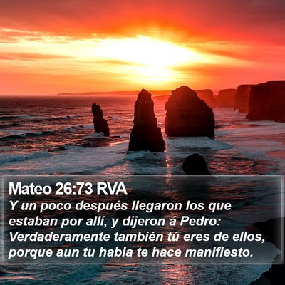Mateo 26:73 RVA Bible Verse Image
