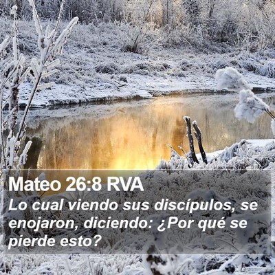 Mateo 26:8 RVA Bible Verse Image