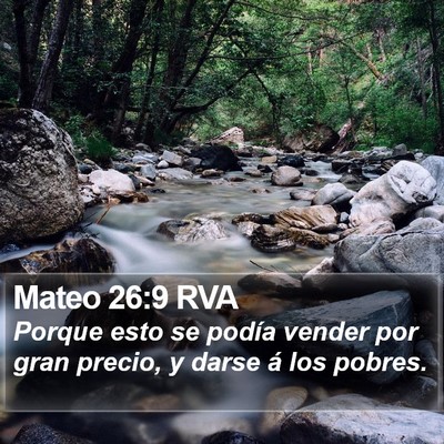 Mateo 26:9 RVA Bible Verse Image
