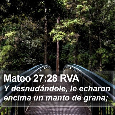 Mateo 27:28 RVA Bible Verse Image