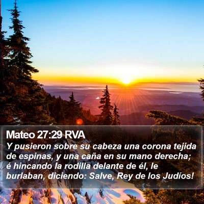 Mateo 27:29 RVA Bible Verse Image