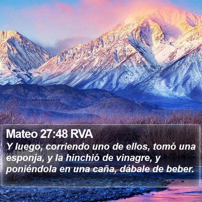 Mateo 27:48 RVA Bible Verse Image